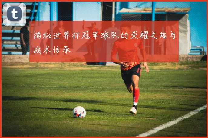 揭秘世界杯冠军球队的荣耀之路与战术传承