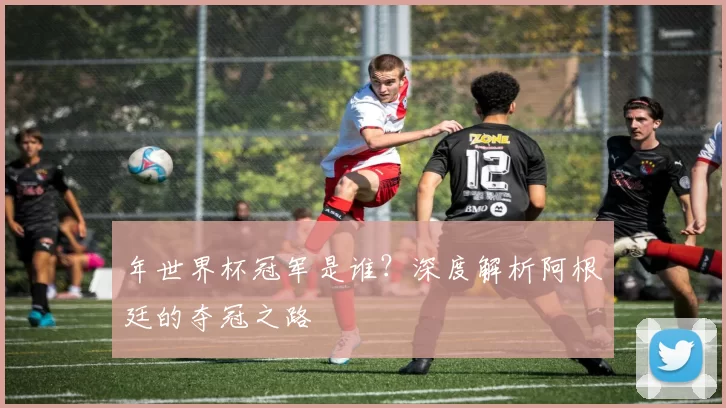 年世界杯冠军是谁？深度解析阿根廷的夺冠之路
