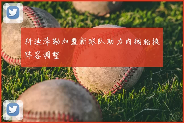 科迪泽勒加盟新球队助力内线轮换阵容调整