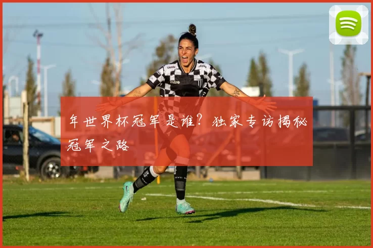 年世界杯冠军是谁？独家专访揭秘冠军之路
