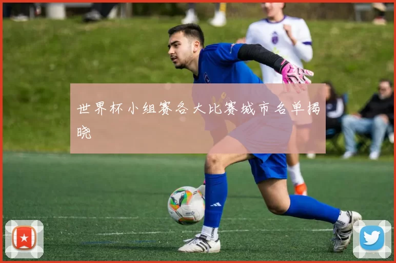世界杯小组赛各大比赛城市名单揭晓