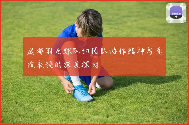 成都羽毛球队的团队协作精神与竞技表现的深度探讨