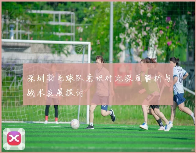 深圳羽毛球队意识对比深度解析与战术发展探讨