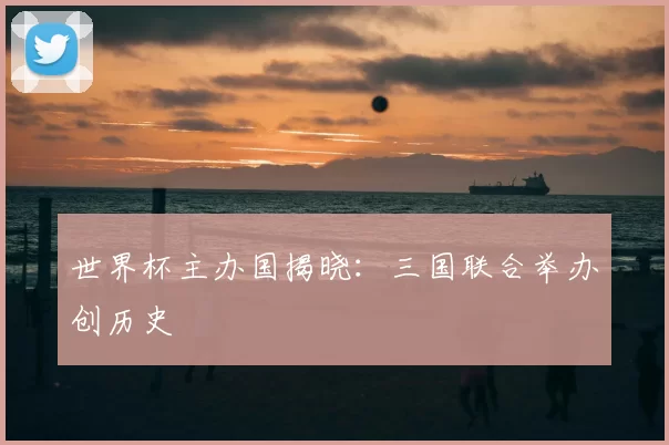 世界杯主办国揭晓:三国联合举办创历史