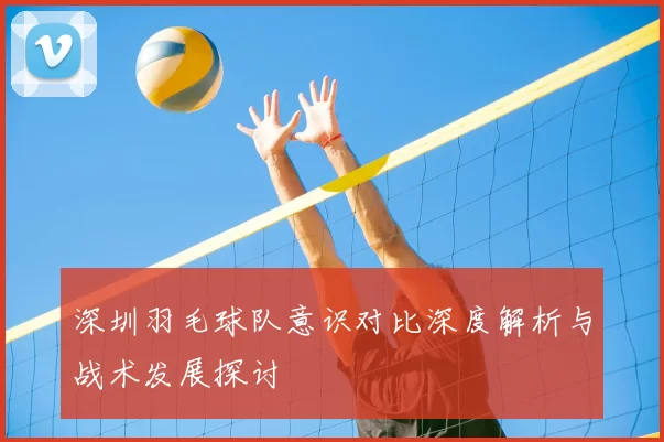 深圳羽毛球队意识对比深度解析与战术发展探讨
