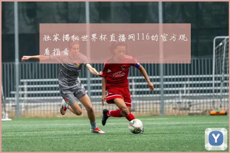 独家揭秘世界杯直播网116的官方观看指南