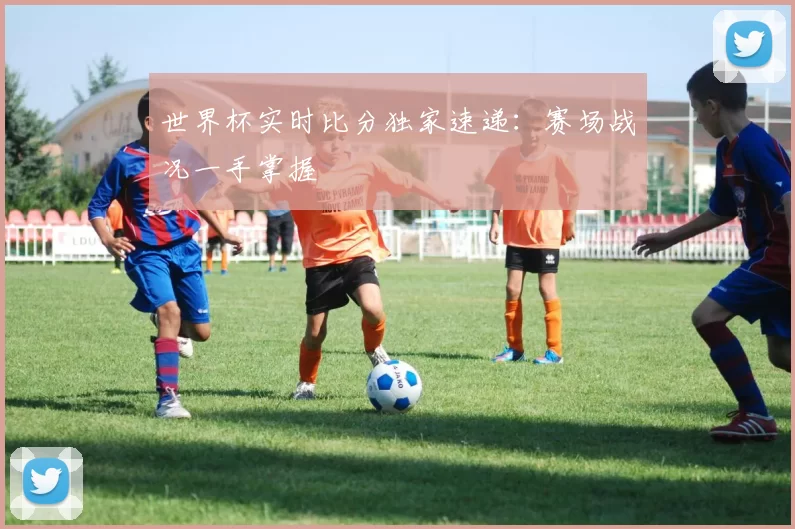 世界杯实时比分独家速递：赛场战况一手掌握