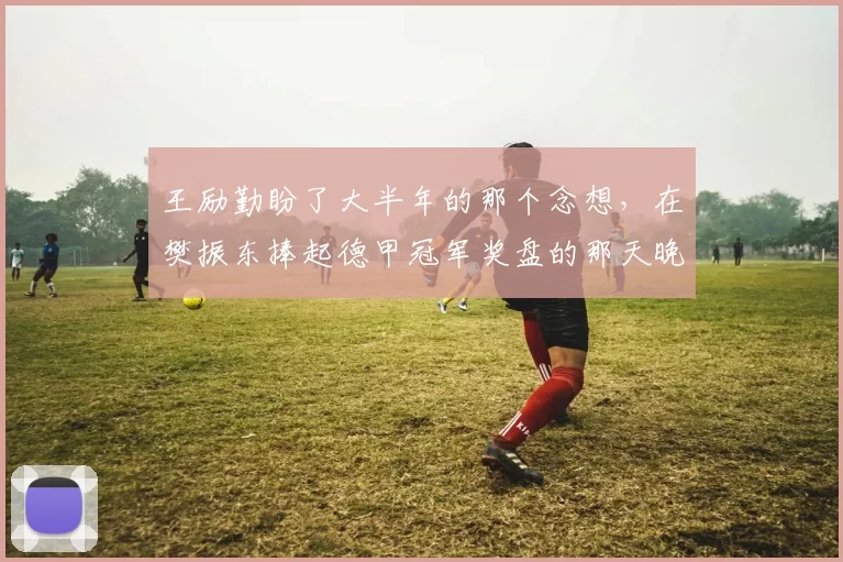 王励勤盼了大半年的那个念想，在樊振东捧起德甲冠军奖盘的那天晚上，又碎了_中国乒协_萨尔布吕肯_欧冠决赛