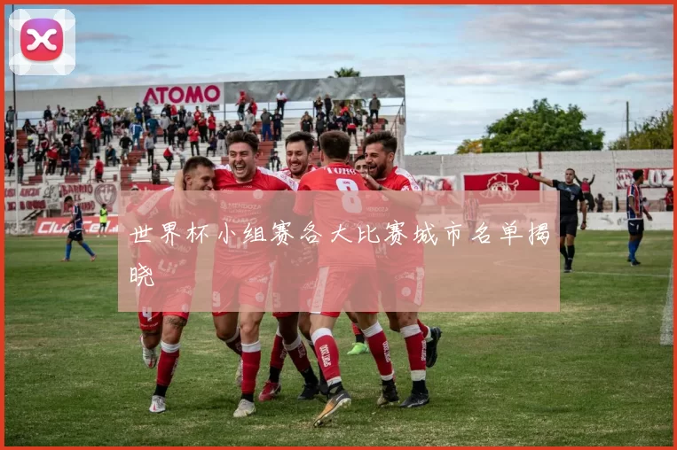 世界杯小组赛各大比赛城市名单揭晓