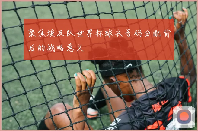 聚焦埃及队世界杯球衣号码分配背后的战略意义