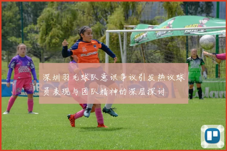 深圳羽毛球队意识争议引发热议球员表现与团队精神的深层探讨