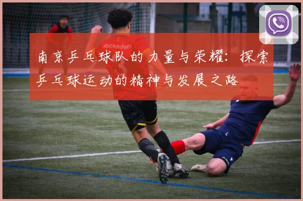 南京乒乓球队的力量与荣耀：探索乒乓球运动的精神与发展之路