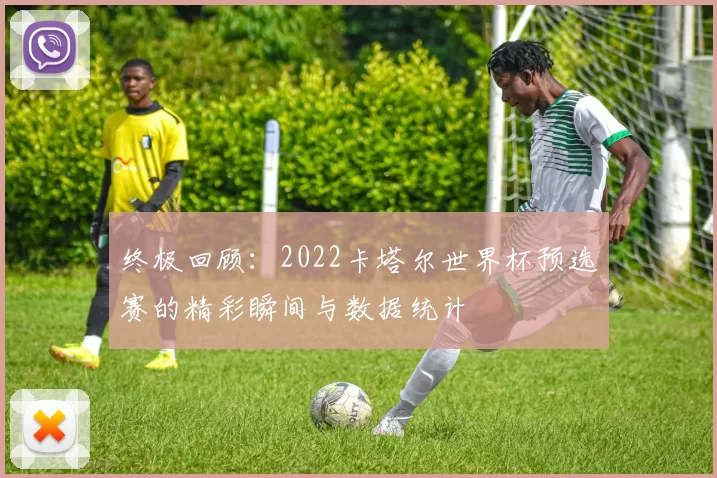 终极回顾：2022卡塔尔世界杯预选赛的精彩瞬间与数据统计