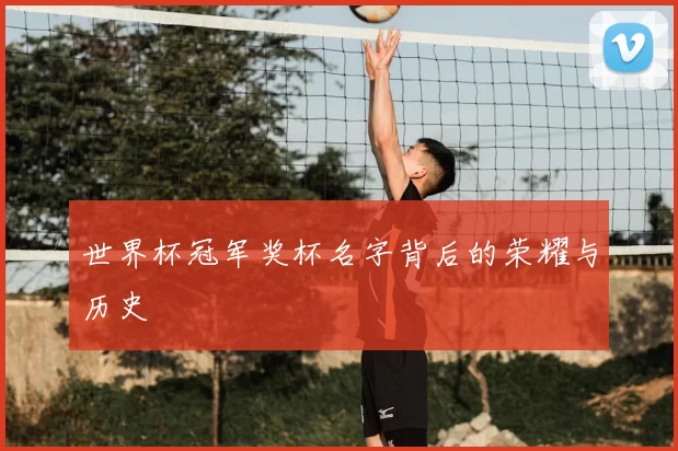 世界杯冠军奖杯名字背后的荣耀与历史