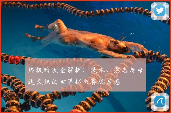 终极对决全解析：技术、意志与命运交织的世界杯决赛观后感