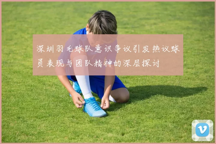 深圳羽毛球队意识争议引发热议球员表现与团队精神的深层探讨