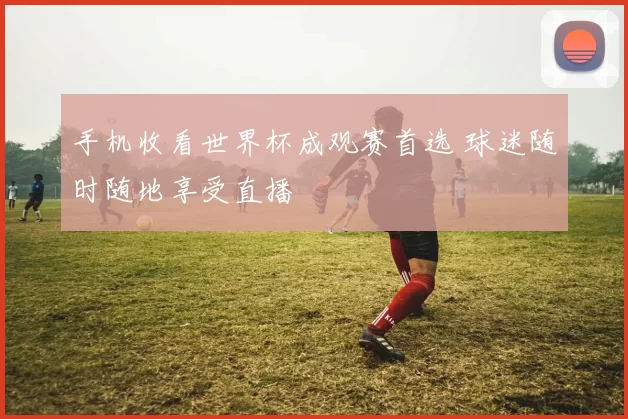 手机收看世界杯成观赛首选 球迷随时随地享受直播