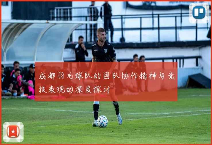 成都羽毛球队的团队协作精神与竞技表现的深度探讨