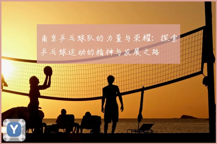 南京乒乓球队的力量与荣耀：探索乒乓球运动的精神与发展之路
