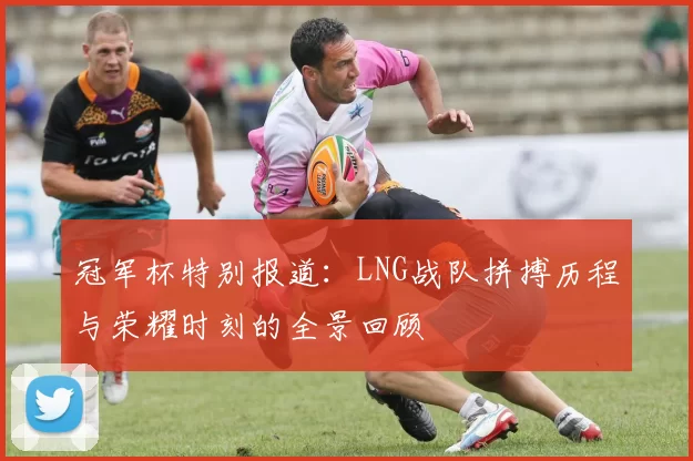 冠军杯特别报道：LNG战队拼搏历程与荣耀时刻的全景回顾